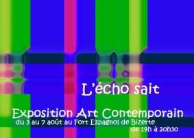 Une Exposition Dâ€™art Contemporain "L'ECHO SAIT"