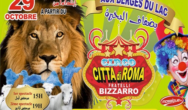 Circo International "CittÃ  di Roma"