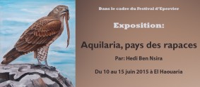 Exposition "Aquilaria, pays des rapaces"