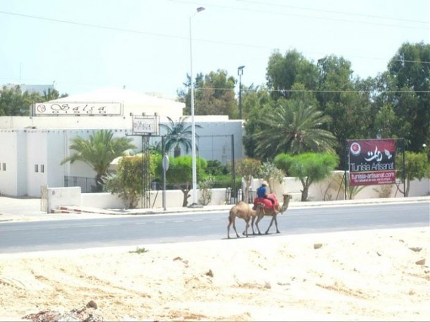 Salsa Disco Djerba