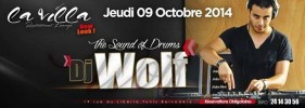 DJ Wolf
