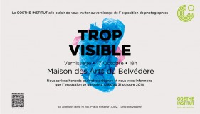 Exposition "Trop Visible"