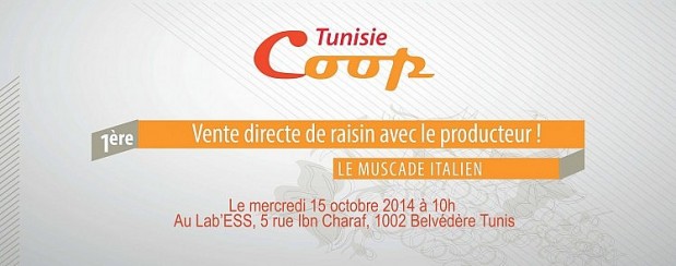 Tunisie Coop : vente directe de raisin avec le producteur