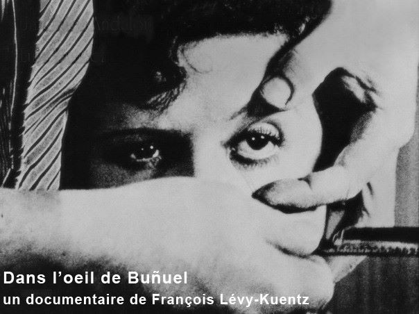 Dans l'oeil de BuÃ±uel