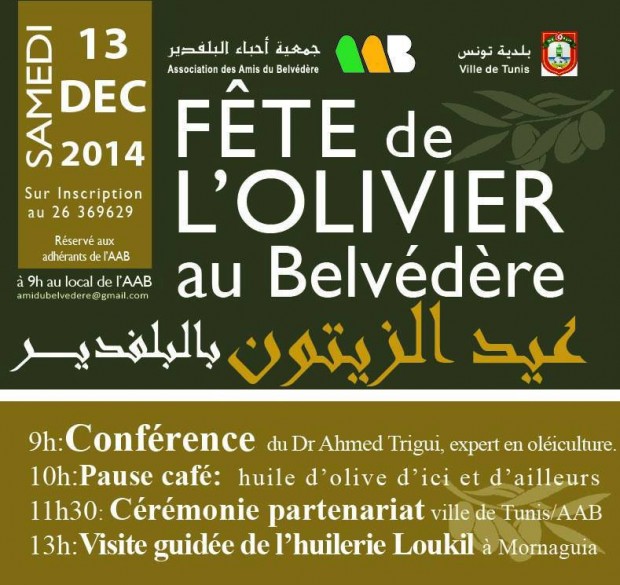 La fête de l’olivier au Belvédère La fête de l’olivier au Belvédère