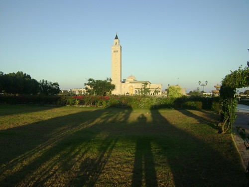 Parc de Carthage Hannibal