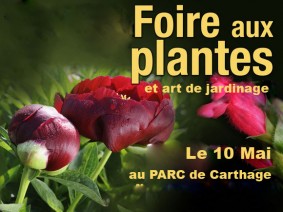 Foire aux Plantes et Art de Jardinage