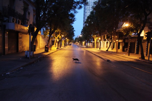 Rencontre autour de lâ€™ouvrage "Tunis Nostalgie"